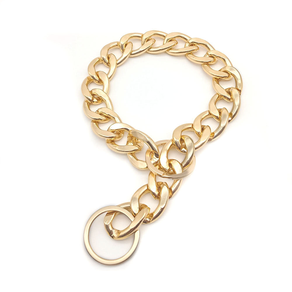 Fashionable Simple Domineering Metal Pet Necklace
