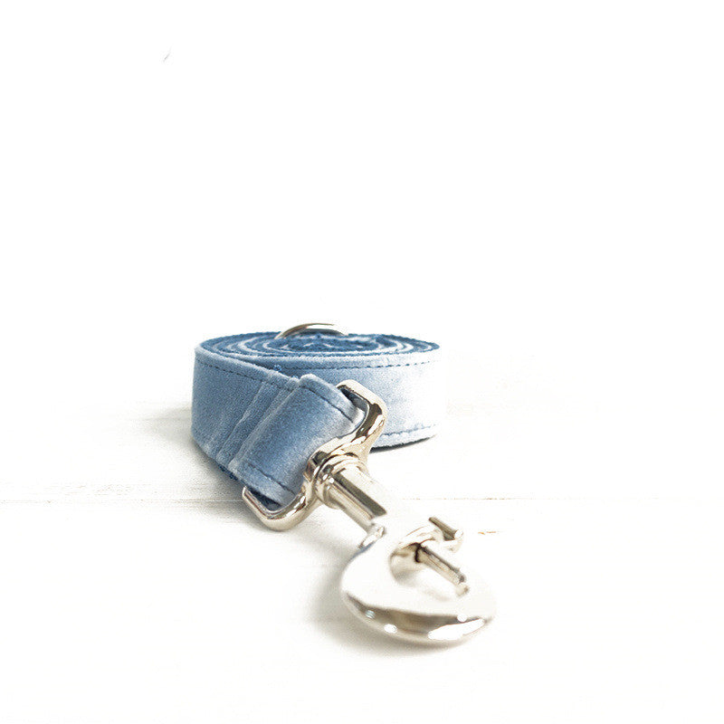 Thick pet collar with leash