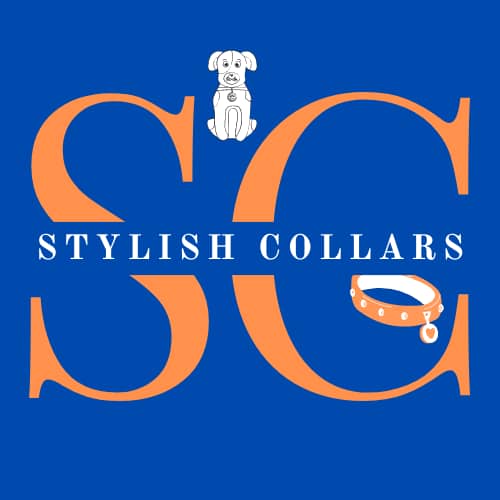 Stylish Collars